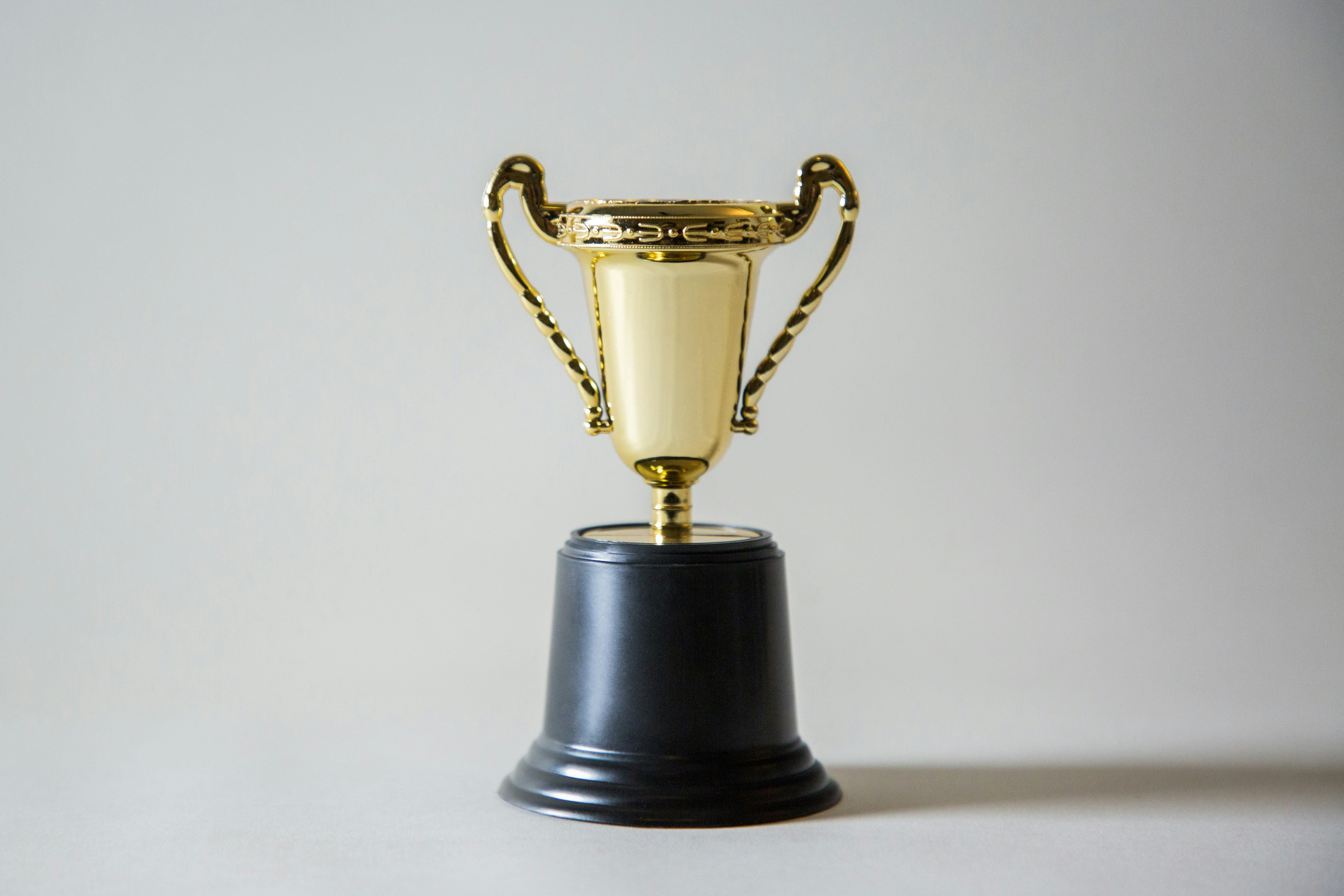 Mr. Mocha's Pet Supplies Wins "Best Pet Store in 352" for 2024!