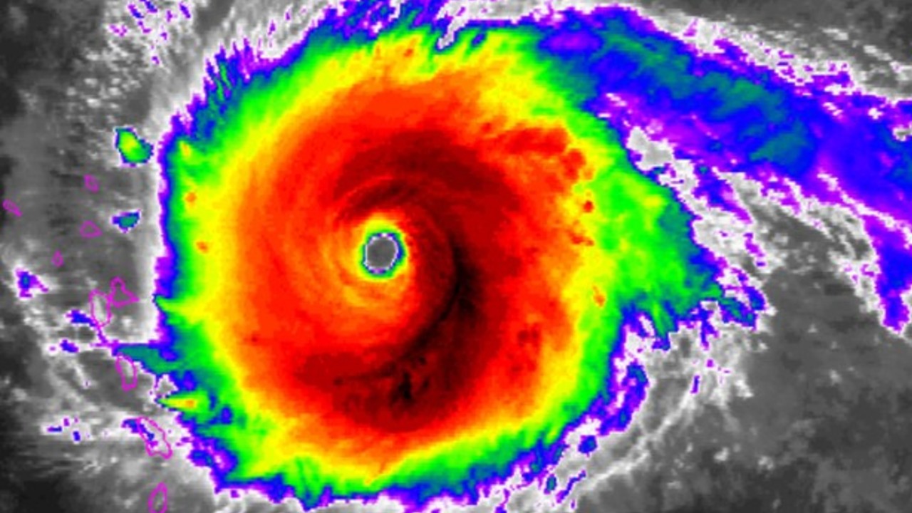 Hurricane preparedness checklist for Pets & Animals