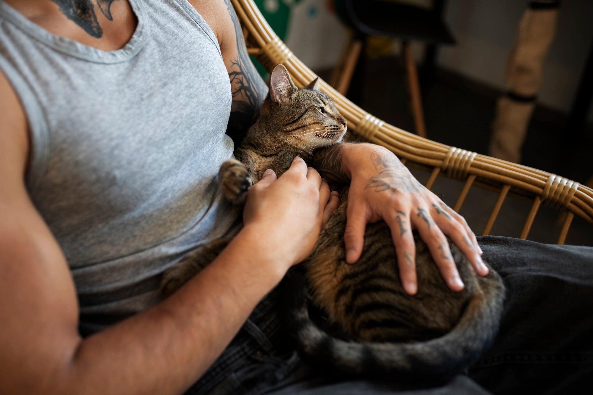 First-Time Pet Owners: What to Know Before You Commit
