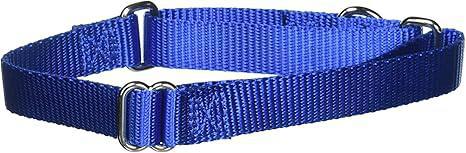 Pet Safe Martingale Collar