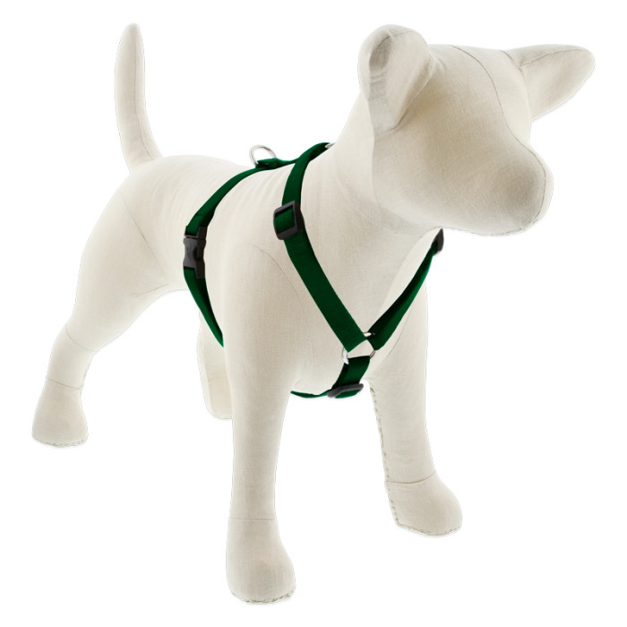 Lupine Basic Solids Roman Dog Harness 3/4" wide