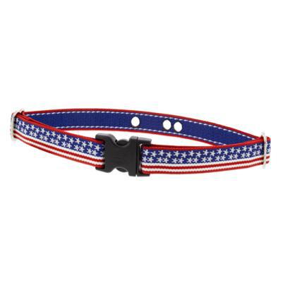 Stars N Stripes Lupine Collars/Leash