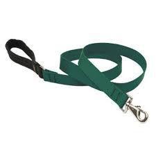 Lupine 1in Green 6ft Leash - Mr Mochas Pet Supplies