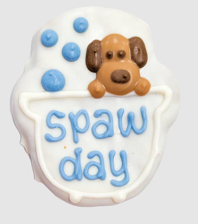 Spaw Day Bosco and Roxy's