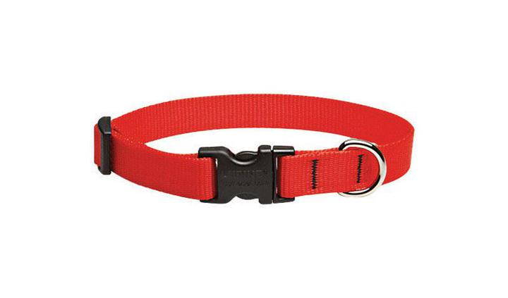 Lupine 3/4 Collar 9-14 Adj red - Mr Mochas Pet Supplies