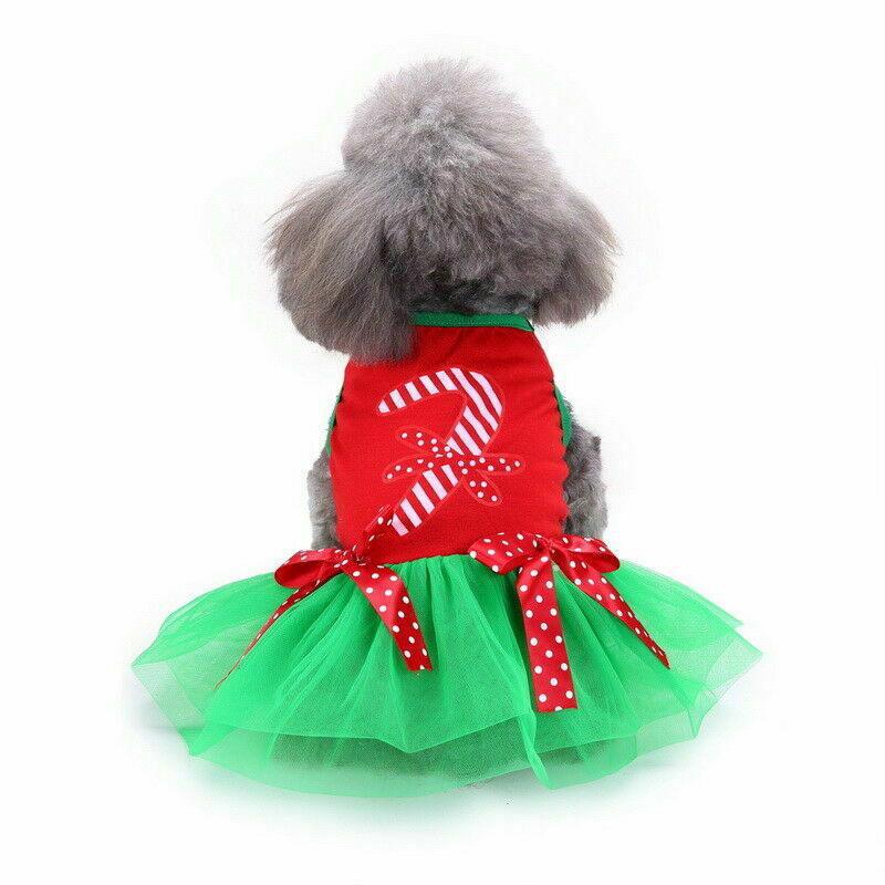 Christmas Dress Candy Cane - Mr Mochas Pet Supplies