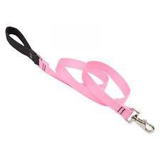 Lupine 1in Pink 6ft Leash - Mr Mochas Pet Supplies