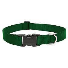 Lupine 3/4 Collar 13"- 22" Adj Green - Mr Mochas Pet Supplies