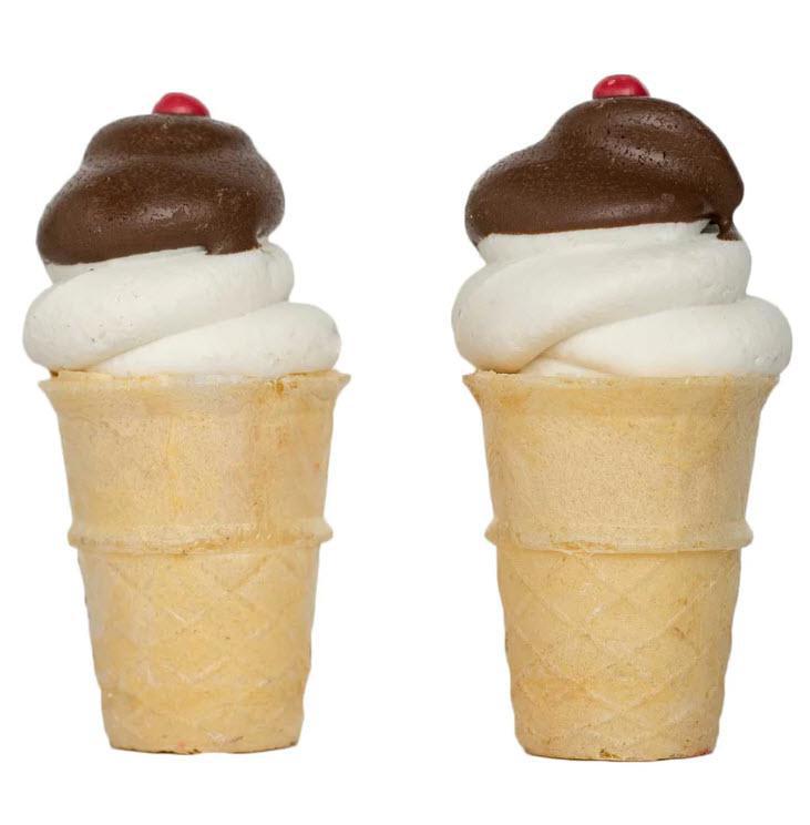 IceCream Cone Bosco and Roxy's