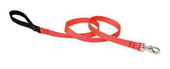 Lupine Basics 1" Leash 6" Blaze Orange - Mr Mochas Pet Supplies