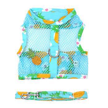 DD Cool Mesh Harness Pineapple Luau - Mr Mochas Pet Supplies