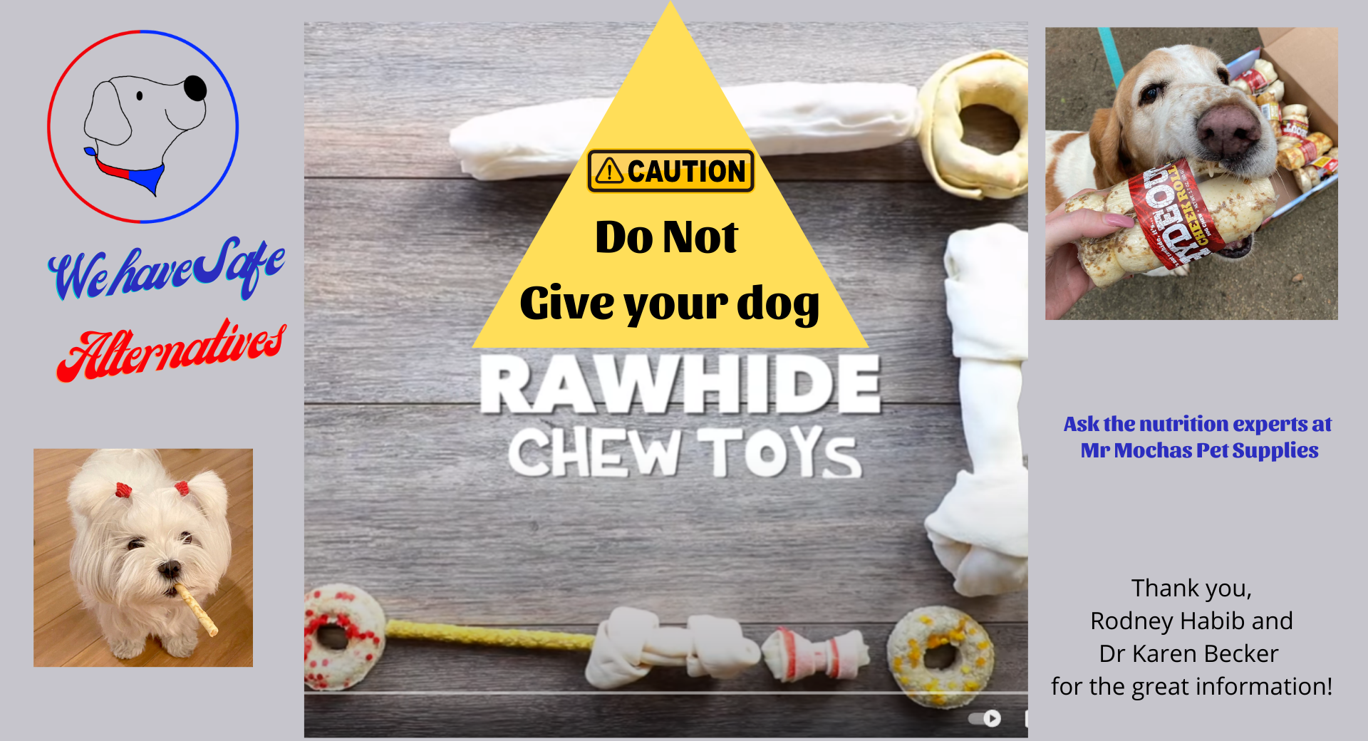 Don't Feed Dogs Rawhide!
