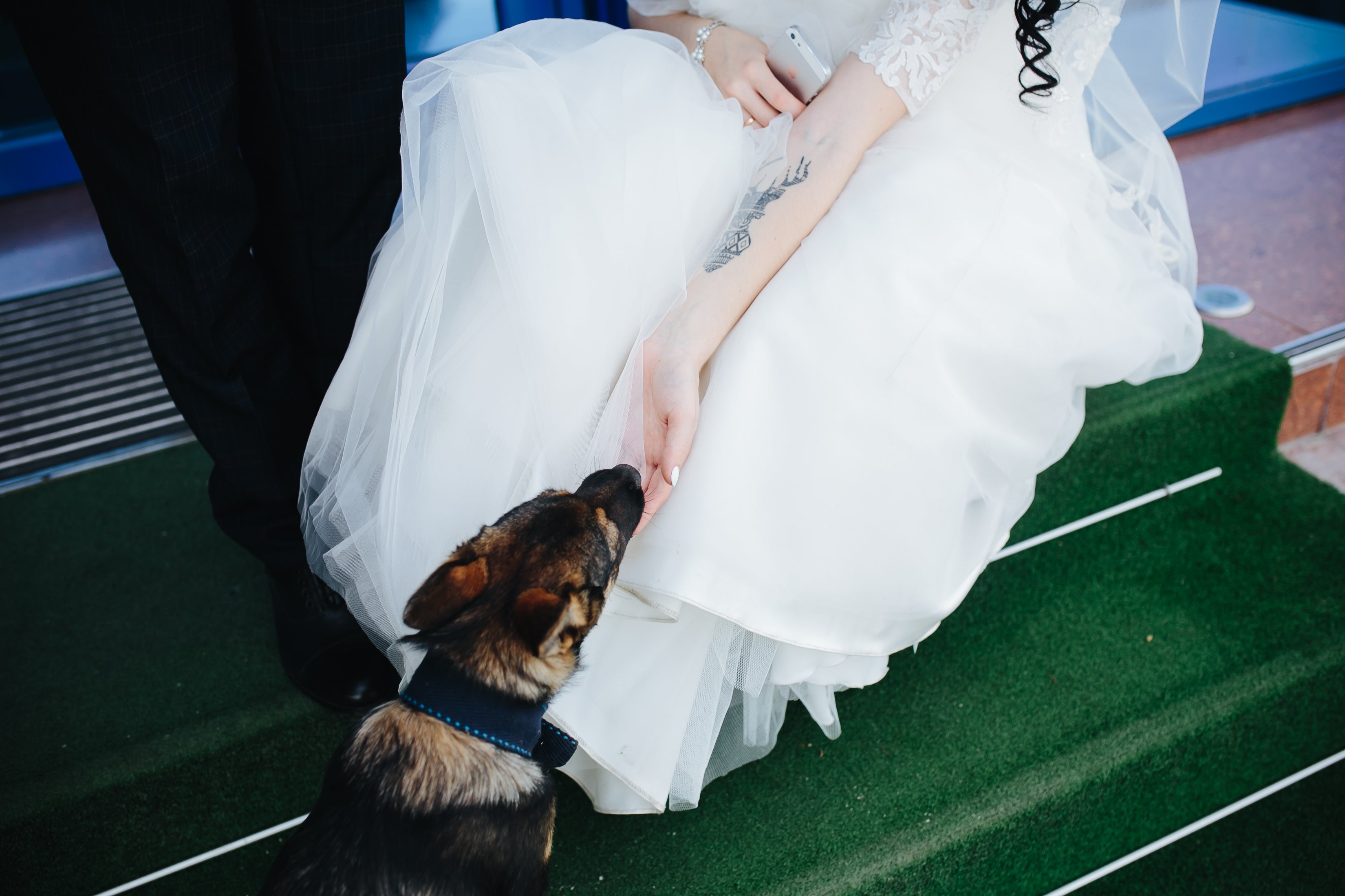 How to Celebrate Your Wedding With the Pets You Love