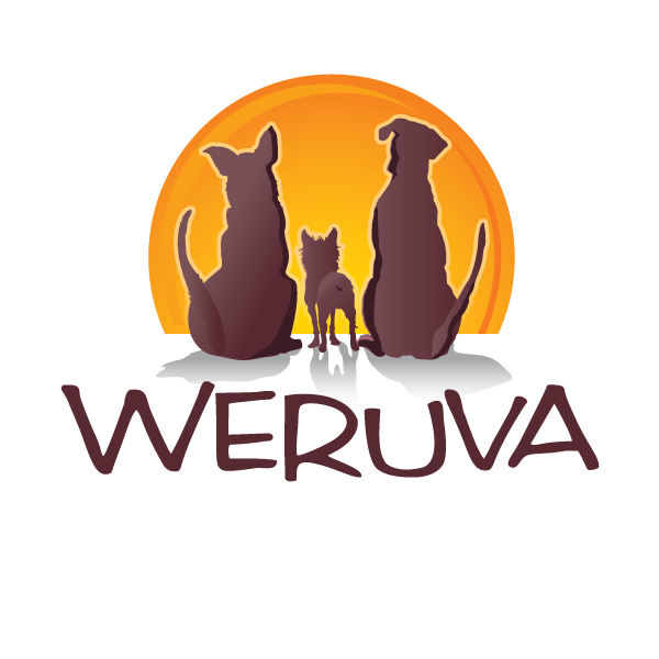 pet food made with human food grade ingredients