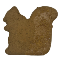 Preppy Puppy Squirrel