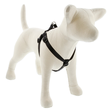 Lupine Basic Solids Step in Dog Harness 3/4" wide