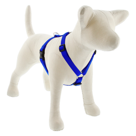 Lupine Basic Solids Roman Dog Harness 3/4" wide
