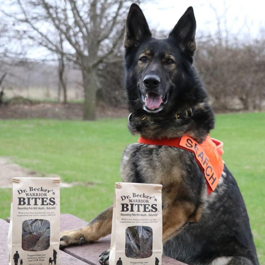 Dr Becker's Bites - Beef Warrior Bites