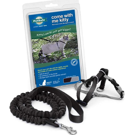 PetSafe Premier Come With Me Kitty Harness & Bungee Leash Combo