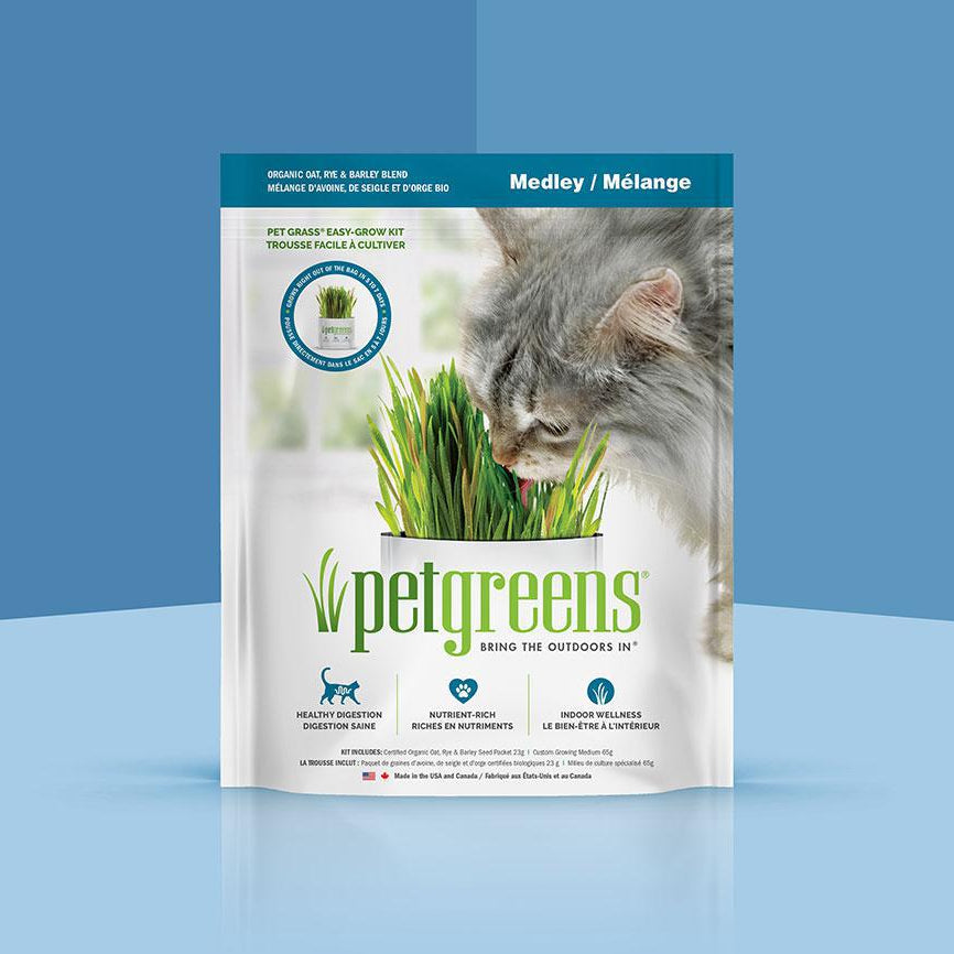 Cat Grass Easy Self-Grow Kits