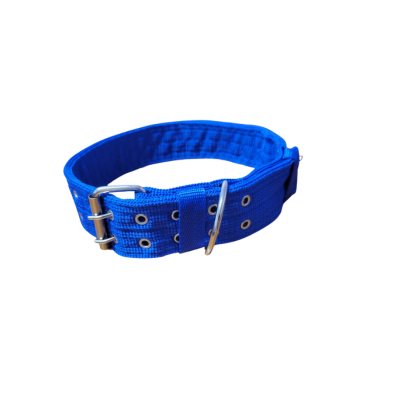 Dog Collar - 31, 2" Thick, Extra Large, Double Buckle