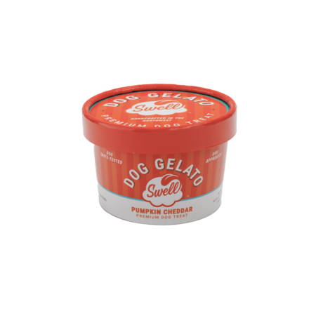 Swell Gelato Dog Treat Frozen Pumpkin Cheddar
