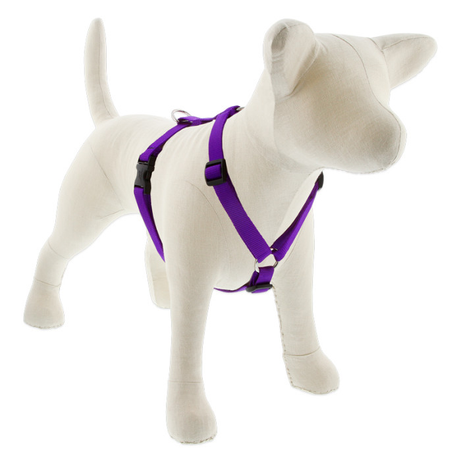 Lupine Basic Solids Roman Dog Harness 3/4" wide