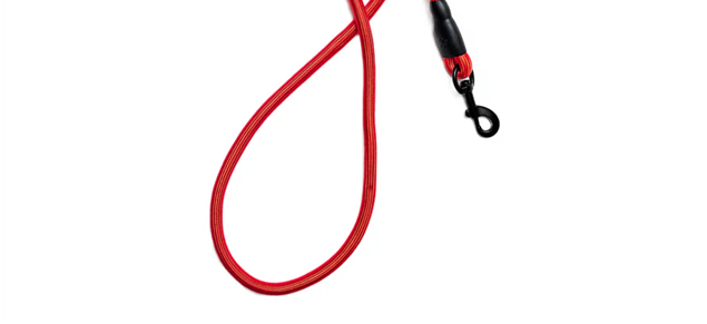 Bark Appeal 6 Foot Dual Handle Rope Leash