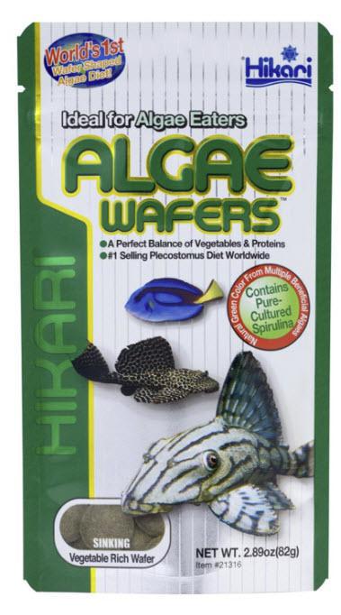 Hikari USA Algae Wafers Rapidly Sinking Wafer Fish Food