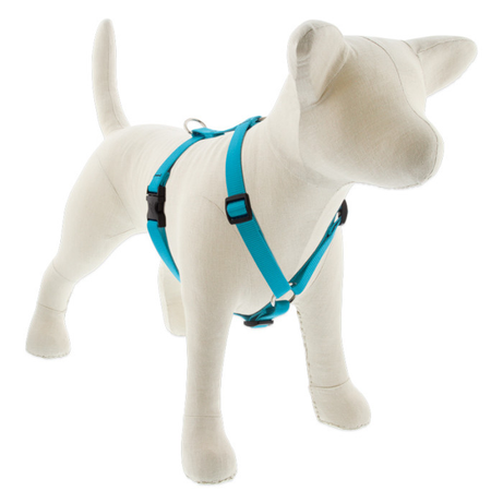 Lupine Basic Solids Roman Dog Harness 3/4" wide