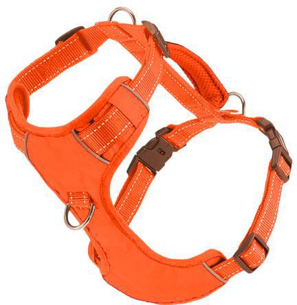 BAYDOG Harness Chesapeake Orange