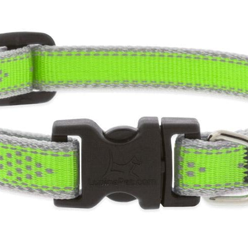 Lupine Pet - Green Diamond