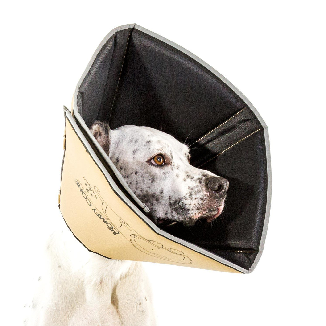 Comfy Cone