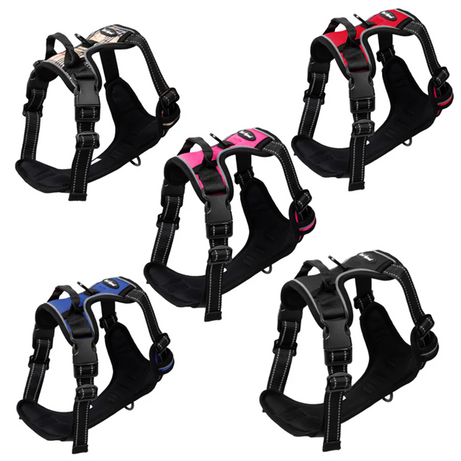 Bark Appeal Reflective Control Harness Pink
