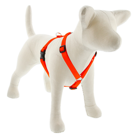 Lupine Basic Solids Roman Dog Harness 3/4" wide