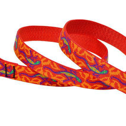 Lupine GoGo Gecko Leash