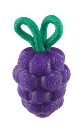 Outward Hound Dental Grapes Think N' Thrive Dog Toy Purple Medium