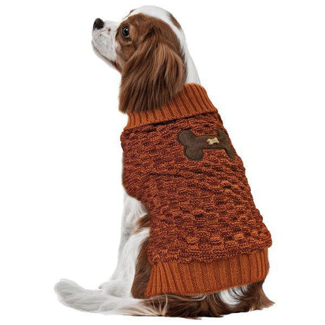 Pet Sweater - Bone Accent Sweater - Orange