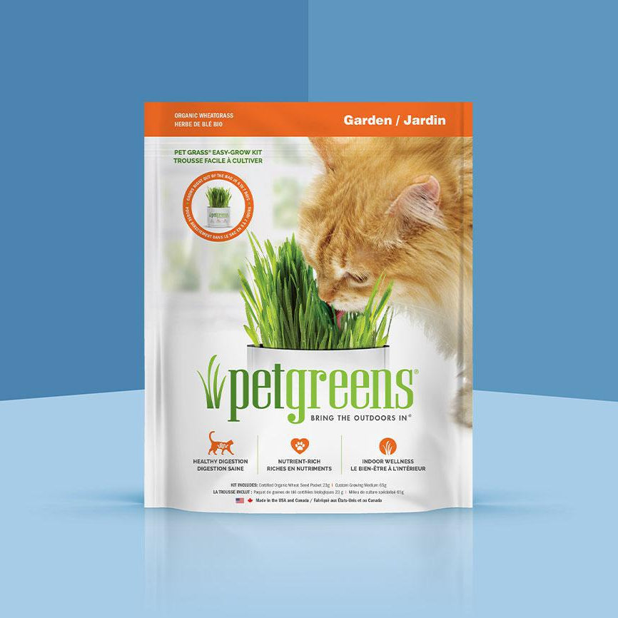 Cat Grass Easy Self-Grow Kits