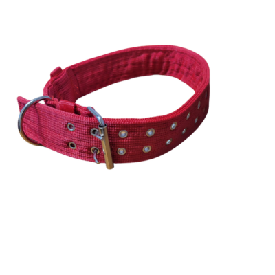 Dog Collar - 31, 2" Thick, Extra Large, Double Buckle