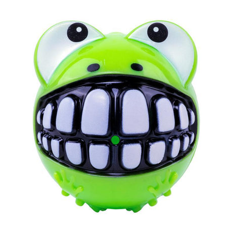 Kong Frog Toy
