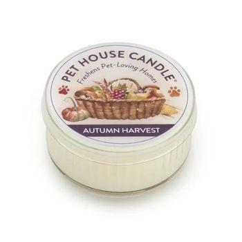 Pet House Candle Pink Sugar