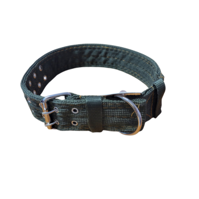 Dog Collar - 31, 2" Thick, Extra Large, Double Buckle