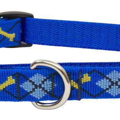 Lupine Pet - Dapper Dog