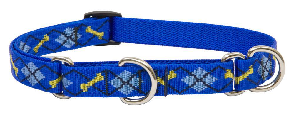 Lupine Pet - Dapper Dog