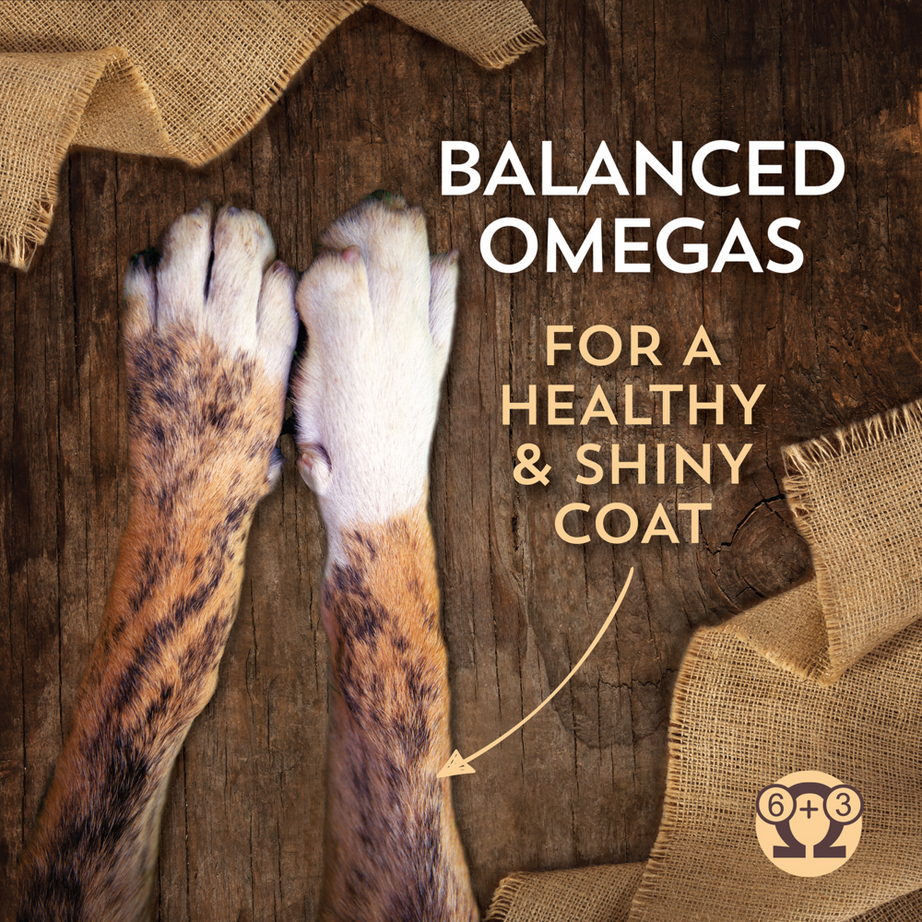 Wholesomes Fish Meal & Rice Recipe Dry Dog Food