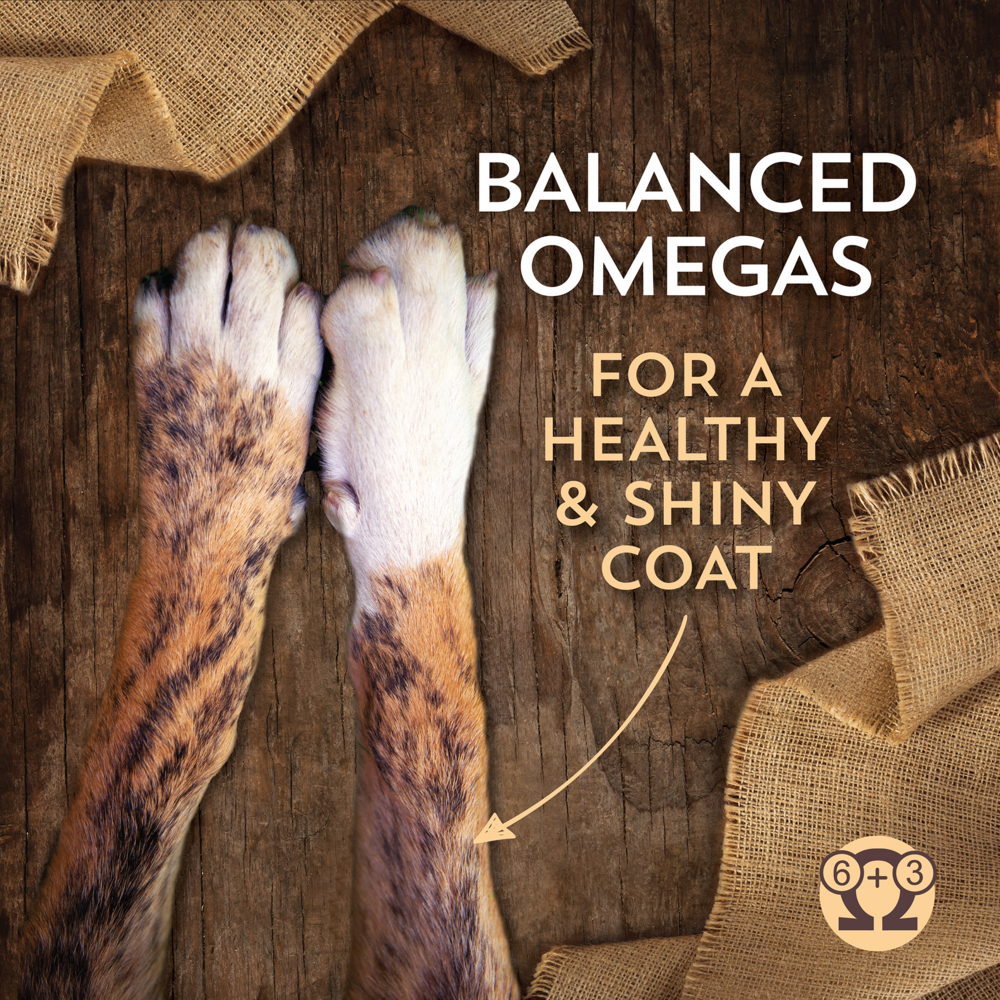 Wholesomes Lamb Meal & Rice Recipe Dry Dog Food