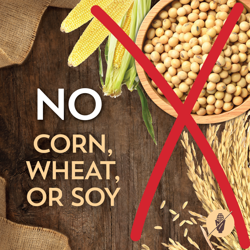 Wholesomes Chicken Meal & Rice Recipe Dry Dog Food