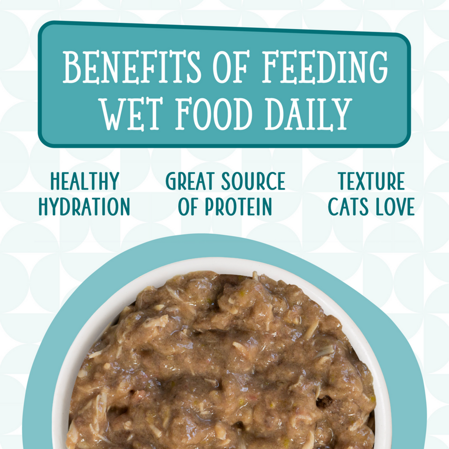 Weruva Cats in the Kitchen Funk in the Trunk Canned Cat Food