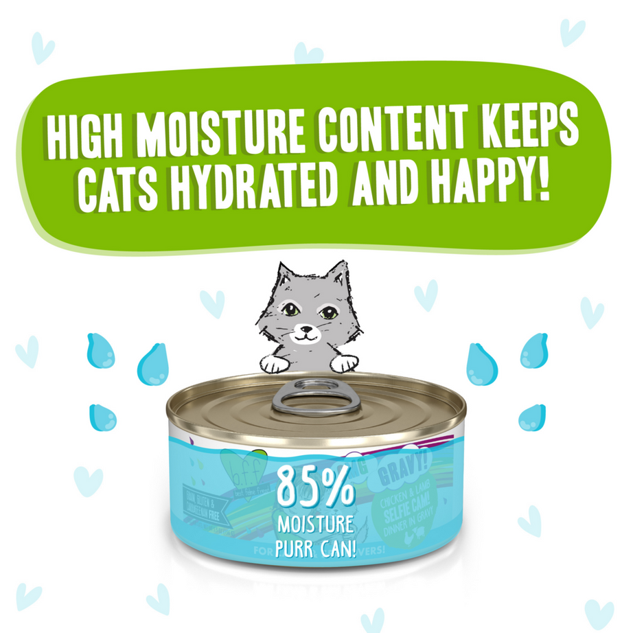Weruva BFF Oh My Gravy Selfie Cam Grain Free Chicken & Lamb in Gravy Canned Cat Food